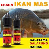Gambar 1 botol MAS Essen mancing "Strike Sultan",jagonya mancing Biang Mas,jago strike siang dan malam galatama,galapung dan harian - harian, siang dari goldenglove undefined 1 Tokopedia