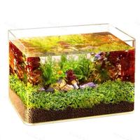 Gambar TERBARU SEABOB Akuarium Ikan JR510 (30/35/40/50/60 cm) Tangki Ikan Mini dengan bahan kaca super bening melengkung dari cv amega crem undefined 4 Tokopedia