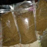Gambar Benih Biji Pohon Kayu Putih dari Daun Pintar undefined 1 Tokopedia