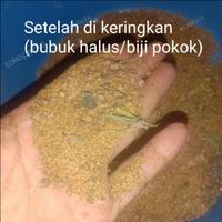 Gambar Benih Biji Pohon Kayu Putih dari Daun Pintar undefined 2 Tokopedia