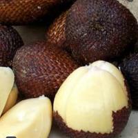Gambar salak Sidempuan super 1kg fresh dari BUAHSEGARMEDAN undefined 1 Tokopedia