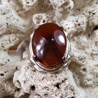 Gambar Cincin Batu Akik Natural Junder Junjung Drajat  # 5 dari Nagatawa Ornamental Fish undefined 1 Tokopedia