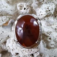 Gambar Cincin Batu Akik Natural Junder Junjung Drajat  # 5 dari Nagatawa Ornamental Fish undefined 2 Tokopedia