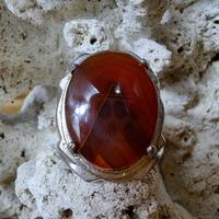 Gambar Cincin Batu Akik Natural Junder Junjung Drajat  # 5 dari Nagatawa Ornamental Fish undefined 3 Tokopedia