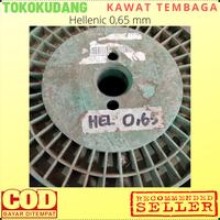 Gambar Kawat Tembaga Email HELLENIC SUN 0,65 mm Gulung Rewinding Trafo Tamiya Elektromotor Spull Bisa COD dari TOKO EKAMBI 9 undefined 3 Tokopedia