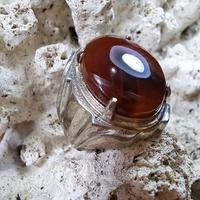 Gambar Cincin Batu Akik Natural Junder Junjung Drajat  # 5 dari Nagatawa Ornamental Fish undefined 4 Tokopedia
