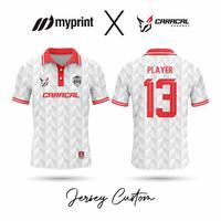 Gambar jersey custom/jersey satuan/jersey printing - XXXL dari Myprint Cianjur undefined 1 Tokopedia
