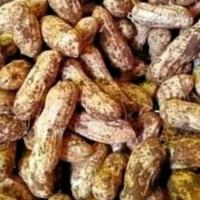 Gambar Kacang Tanah Kulit Mentah - Gerobak Sayur Palembang dari Gerobak Sayur undefined 1 Tokopedia