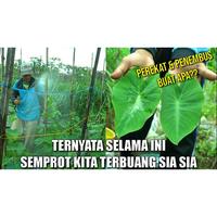 Gambar Spreader DGW - Perekat, Perata dan Penembus Pestisida/Pupuk - 500ml dari ABC Garden undefined 5 Tokopedia
