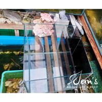 Gambar Akuarium 40x40x40cm - 40cm Cube Sump Belakang dari Jem's Aquascape and Reef undefined 2 Tokopedia