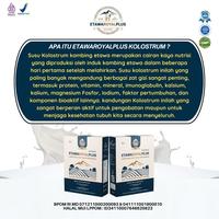 Gambar ETAWAROYAL Platinum Susu Bubuk Etawa Dengan Kolostrum Untuk Keluhan Pernafasan, Ashma, Sesak Nafas, Nyeri Sendi, Rematik & Pegal Linu Kemasan 250gram Paekt 3 Box - Vanila dari Etawasure Official undefined 4 Tokopedia