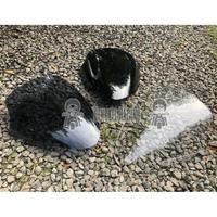 Gambar Windshield PCX 150 standard Thailand CBU . Visor Honda PCX standard Thailand CBU, visor PCX CBU. Kaca depan PCX - Smoke dari RXCONSEP undefined 3 Tokopedia