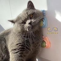 Gambar Rotating Catnip Ball Snack Anti Stress Untuk Kucing Bentuk Kucing - Biru dari Pet Central 168 undefined 3 Tokopedia