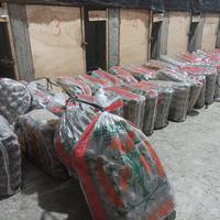 Gambar Jangkrik Alam ternak 1 karung isi setengah kilo dari MaxvyAlam undefined 3 Tokopedia