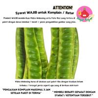 Gambar Petai Kupas/Pete Kupas 100gr - Bawangbagus dari BawangBagus undefined 3 Tokopedia