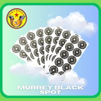 Gambar Black Spot Billiard  - Billiard  Black spot dari sems billiard_NEW undefined 1 Tokopedia
