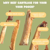 Gambar BEEF CARTILAGE Dog Chew 3-5pcs /Natural Air Dried Treats Gigitan Tulang Muda Sapi Anjing Tahan Lama dari drtoots.co undefined 2 Tokopedia