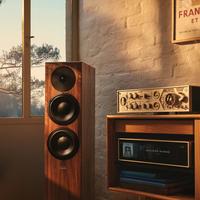 Gambar Dynaudio Contour Legacy Floorstanding passive speaker made in Denmark dari Audio Centre Official undefined 4 Tokopedia