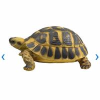 Gambar Kris Garden Patung/hiasan Taman Kura-Kura Belly - Kuning dari Deaayu65 undefined 2 Tokopedia