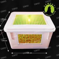 Gambar Box Kotak Ternak BurungTerrarium Fullset Plus Lampu Kotak Ternak Breeding Burung Parrot Lovebird Murai Kenari Ruang Hangat Serbuk Kayu Alas Kandang Ram Kawat Plastik Tempat Lolohan Anakan Burung dari Anggun Official_NEW undefined 2 Tokopedia