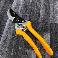 Gambar Gunting Taman Dahan Ranting Pruning Shears Scissors Baja BYPASS PATTERN PRUNING SHEAR 8" Tolsen dari Truteknik undefined 2 Tokopedia