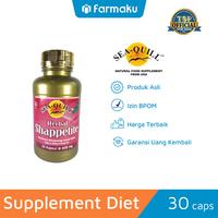 Gambar Sea Quill Herbal Shappetite Isi 30 Kapsul - Suplemen Pelangsing Tubuh dari Farmaku undefined 1 Tokopedia
