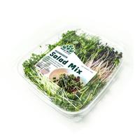Gambar SAYUR MINI Microgreen Mix 50gr - Salad Microgreen - Fresh Cut - Microgreen Campur dari Sayur Mini Microgreen undefined 2 Tokopedia