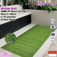 Gambar Tren-D-rugs karpet rumput sintetis palsu synthetic artificial grass alas lantai dekorasi taman halaman rumah tebal indoor outdoor tinggi rumput 30 mm 50x100 NMs dari NMs Lets dress up your home undefined 1 Tokopedia