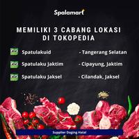 Gambar Bakso Urat Jumbo - Bakso isi urat dan daging cincang dari Spatulaku Jaktim undefined 2 Tokopedia
