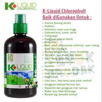Gambar K-LIQUID CHLOROPHYLL 500 ml KLOROFIL K-LINK ORIGINAL Clorofil Klink BPOM 500 ml Chlorophyl Clorophyl dari FiraOfficialMedan undefined 3 Tokopedia