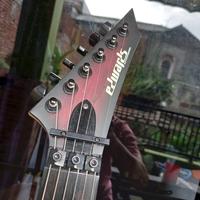 Gambar Gitar ESP Edwards Tremolo Up Down dari Jatinangor Music Store undefined 4 Tokopedia