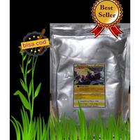 Gambar SEGO PECEL PREMIX (TELOR,TAHU TEMPE, EMPAL). nn98 - Empal dari maritzanashop undefined 2 Tokopedia