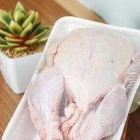 Gambar AYAM BROILER FRESH UKURAN (0.8 SAMPAI 0.9) - UTUHAN PER EKOR dari TOKO DAGING NUSANTARA MENTENG MATRAMAN undefined 4 Tokopedia