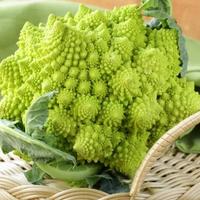 Gambar 10 BUTIR BIJI BENIH TANAMAN BROKOLI ROMANESCO dari Toko Benih kehidupan undefined 4 Tokopedia