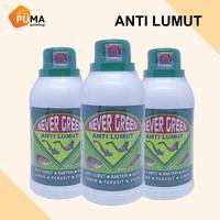 Gambar NEVER GREEN Obat Cairan Pembunuh Pembasmi Anti Lumut Kolam Tambak Ikan dari PUMA Ternak Shop undefined 3 Tokopedia