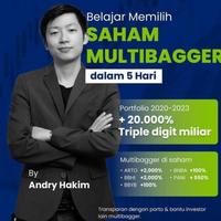 Gambar Kursus Saham Stockwise Andri Hakim | Mahir Trading Saham dari Rangkuman Belajar undefined 1 Tokopedia