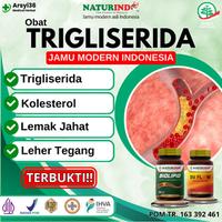 Gambar obat kolesterol herbal dari PT NATURINDOFRESH undefined 1 Tokopedia