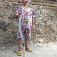 Gambar CELURIT CLURIT MADURA ASLI BULU AYAM NEW 1METER dari cak lung undefined 1 Tokopedia