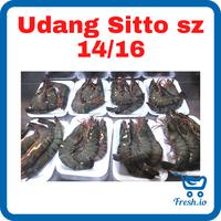 Gambar Udang Sitto Size 14/16 dari Fresh.io undefined 1 Tokopedia