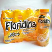 Gambar Floridina Florida Orange Minuman Botol 350ml dus isi 12pcs dari Rejeki Andi undefined 3 Tokopedia