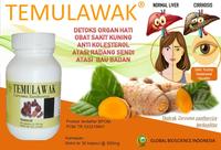 Gambar Temulawak - Obat Liver Alami dari Global Bioscience Store undefined 1 Tokopedia