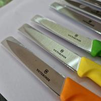 Gambar 6.7601/606/603 Paring Knife 8cm Victorinox, Swiss Made, Baca Diskripsi dari violaviola undefined 2 Tokopedia