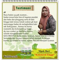 Gambar Obat Kolesterol Penurun Kolestrol Tinggi Lemak Darah  trigliserida - 50 Kapsul dari Nafiza herbal undefined 5 Tokopedia