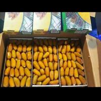 Gambar kurma sukari dari Toko Lauser 46E undefined 2 Tokopedia