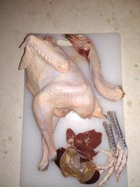 Gambar Ayam kampung asli,berat hidup 09-1kg dari Surya Unggas Kencana undefined 1 Tokopedia