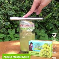 Gambar Per BOX Sidomuncul Vitamin C1000 Anggur Hijau Muscat dari Ikhtiar Sembuh undefined 2 Tokopedia