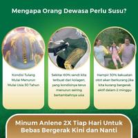 Gambar Anlene Gold 5X Susu Bubuk Dewasa Cokelat 2X170G - Tulang & Sendi dari Roopakala undefined 2 Tokopedia