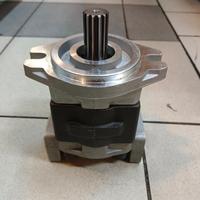 Gambar GEAR PUMP SGP HYDRAULIC SHAFF GIGI 10 / SGP 1A25F1H5-R( KANAN) dari Produsen hydraulic undefined 1 Tokopedia