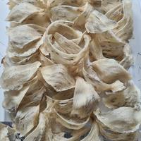 Gambar SARANG BURUNG WALET UTUH KOTOR BULU PLONTOS MURAH NATURAL ASLI YENWO - 15 dari Michie Nara undefined 4 Tokopedia