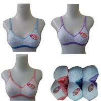 Gambar Isi 2 pcs BH Wanita New Syala - 34 dari Ratu Daleman Tulungagung undefined 1 Tokopedia